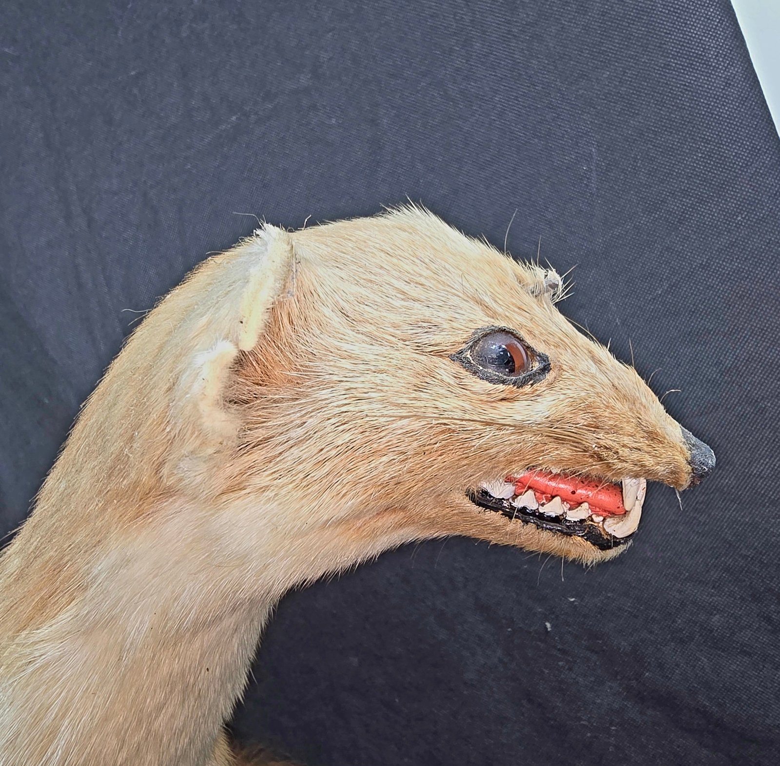 Image 1 6